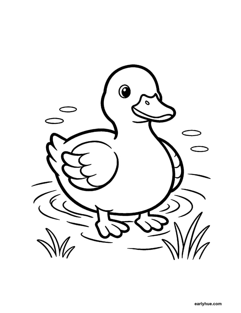 Black-and-white printable duck coloring page featuring original child-friendly coloring page showing one duck swimming on a quiet pond with a broad bill, two.