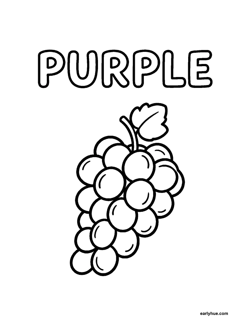Black-and-white printable purple coloring page featuring original child-friendly coloring page showing one large hollow uppercase word purple beside one bunch.