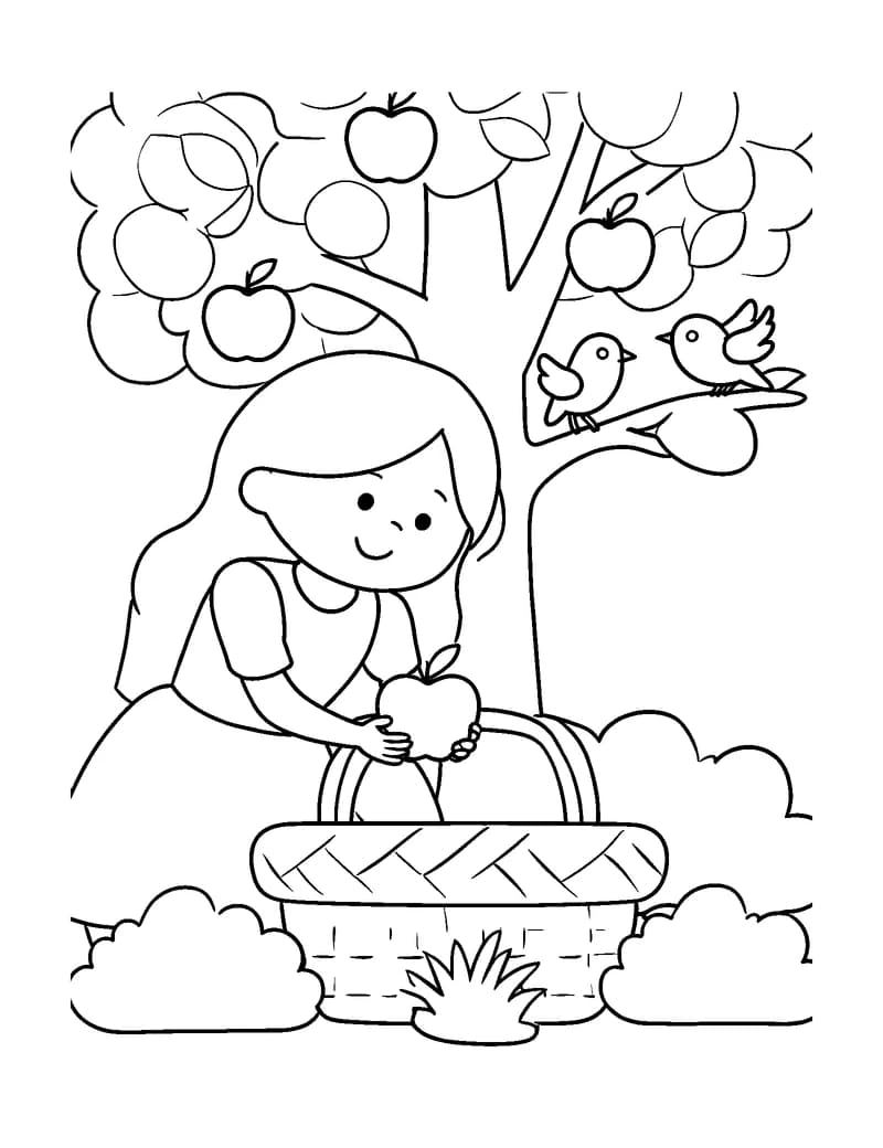 Black-and-white printable snow white apple basket coloring page featuring original public-domain snow white scene: a kind young girl gathers apples into a.