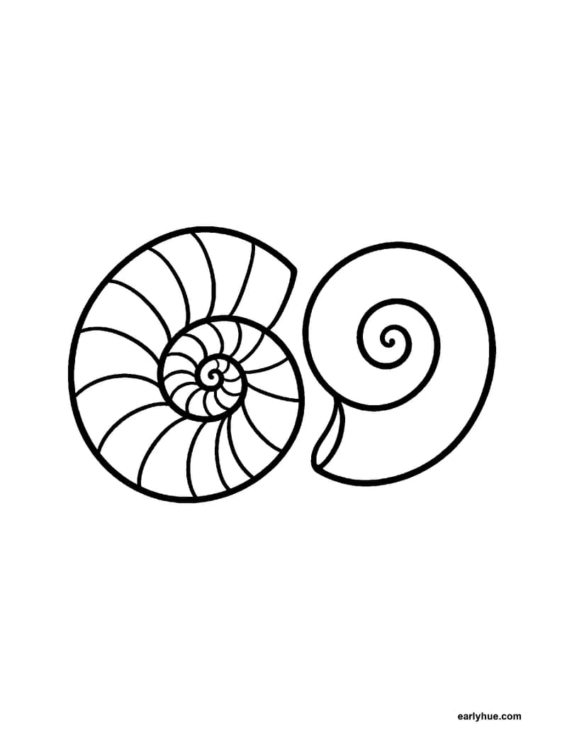 Black-and-white printable spiral shape coloring page featuring original child-friendly coloring page showing one large open spiral beside a snail shell with.