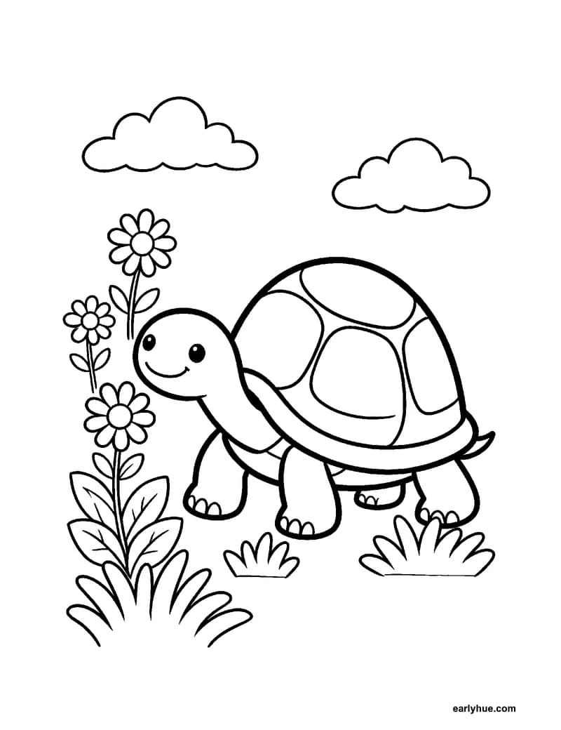 Slow turtle animal coloring page with a broad shell and simple legs