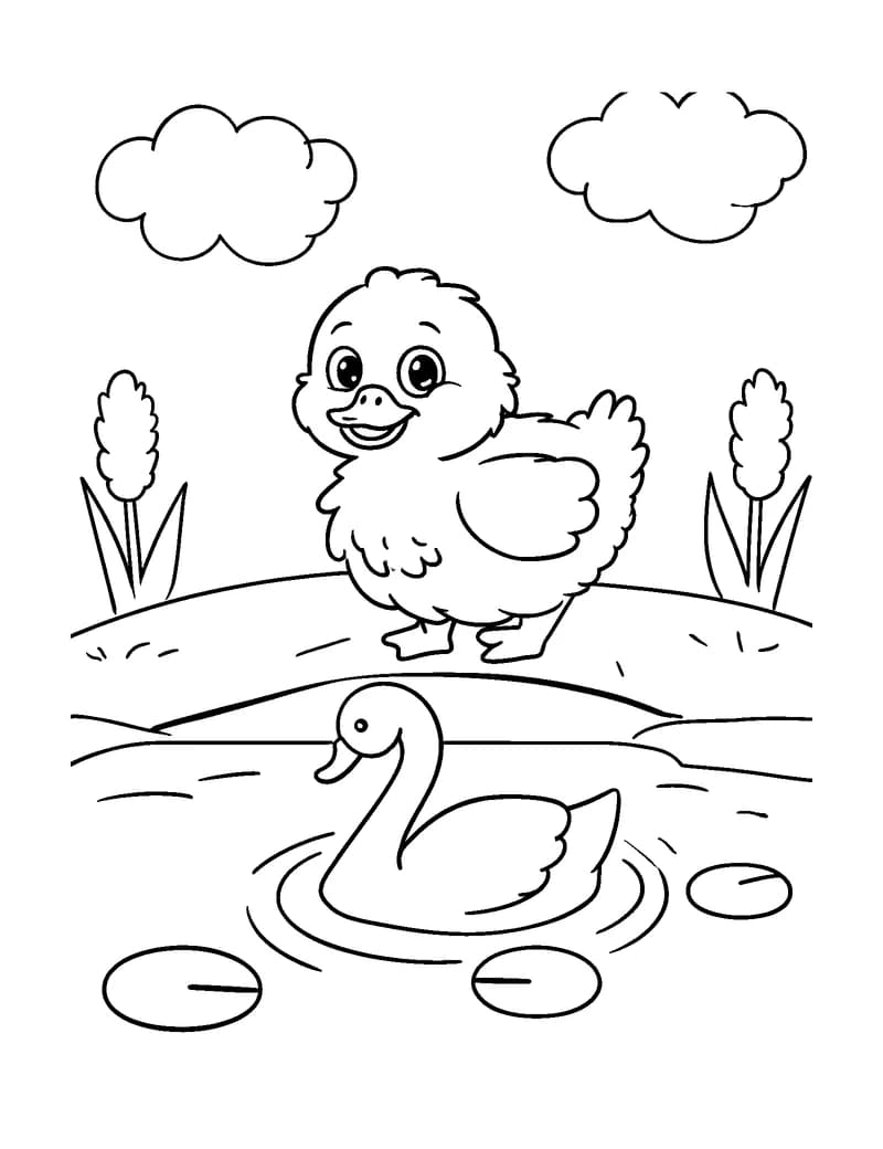 Black-and-white printable ugly duckling swan reflection coloring page featuring original public-domain ugly duckling scene: one small duckling stands beside a.
