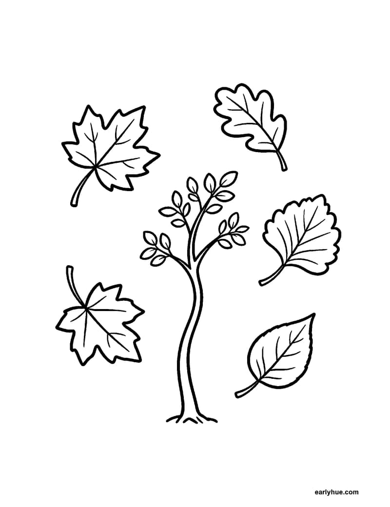 Black-and-white printable windy leaves coloring page featuring original child-friendly coloring page showing five large autumn leaves swirling around one.