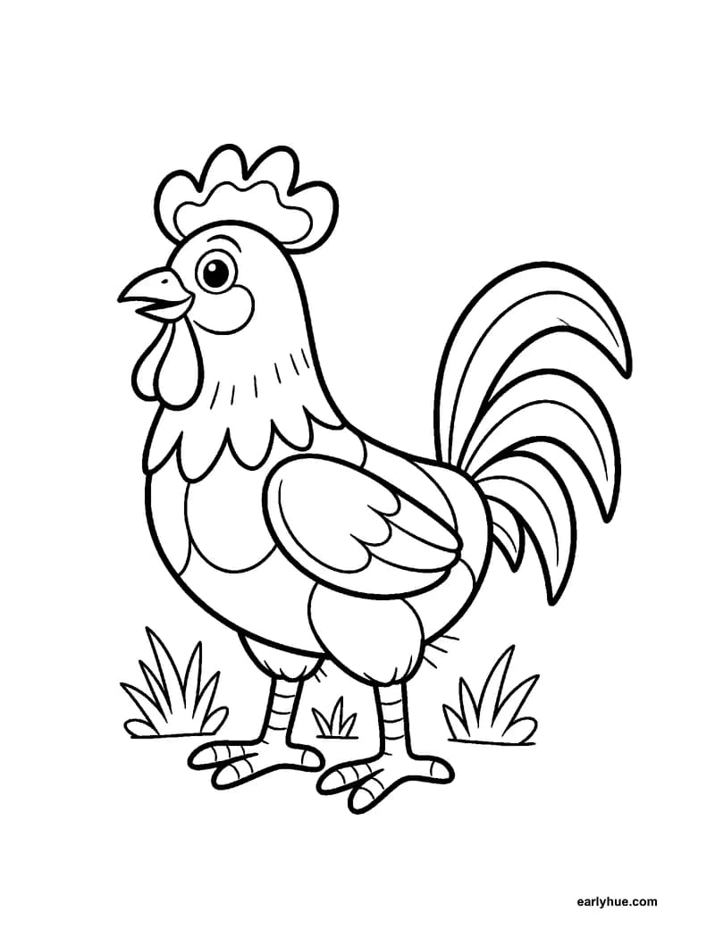 A black-and-white coloring page of a rooster that stands upright with a tall comb, a wattle, and three arched tail feathers.