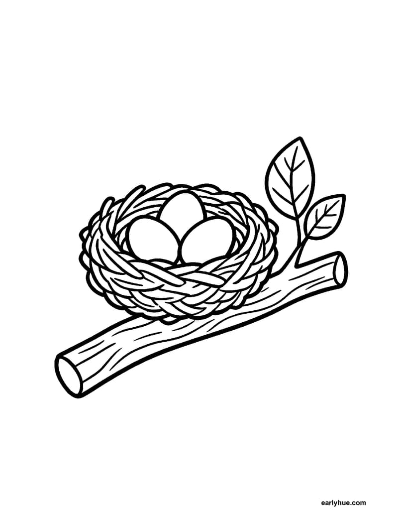 Black-and-white printable spring bird nest coloring page featuring original child-friendly spring coloring page showing one round woven bird nest holding.